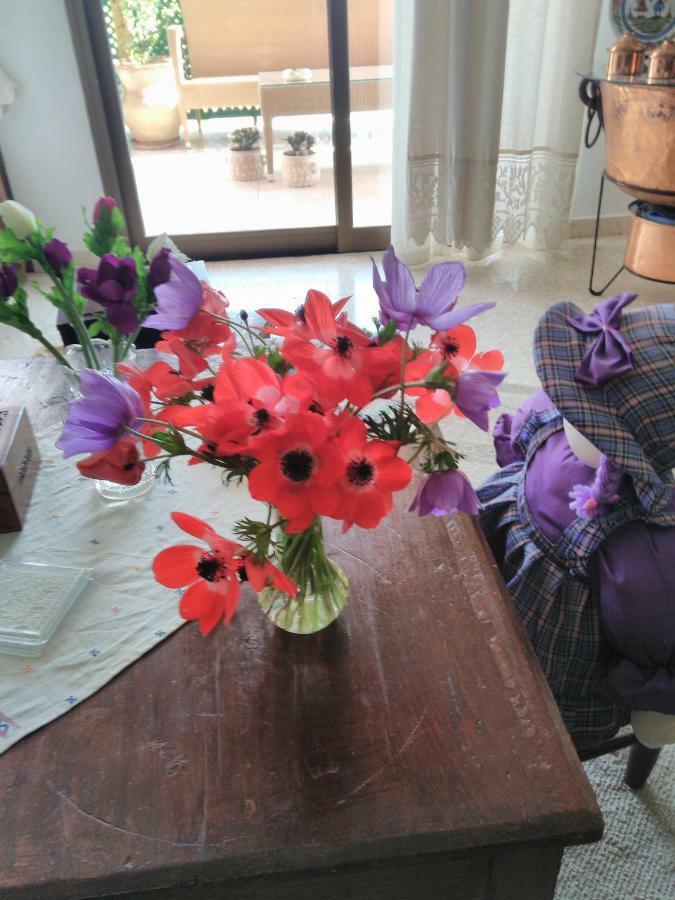 Paphos Yiota'S Cute Studio מראה חיצוני תמונה