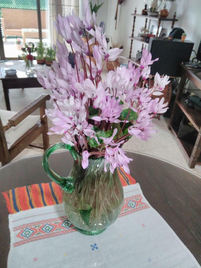Paphos Yiota'S Cute Studio מראה חיצוני תמונה